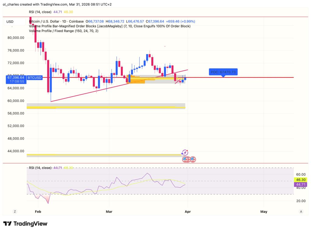 Gr&aacute;fico diario del precio de Bitcoin con order block y VPFR