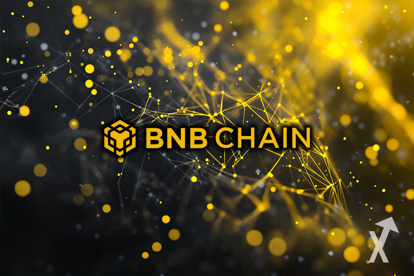 Blockchain network by Binance (BNB Token).