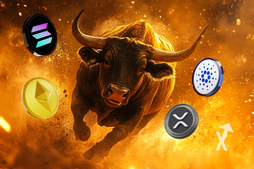 Altseason Bullrun - Cryptocurrency Market Growth.
