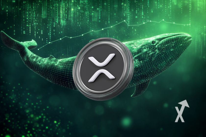 "Graphic of Ripple XRP Whale"