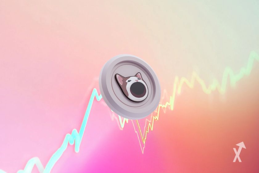 POP CAT token - colourful design