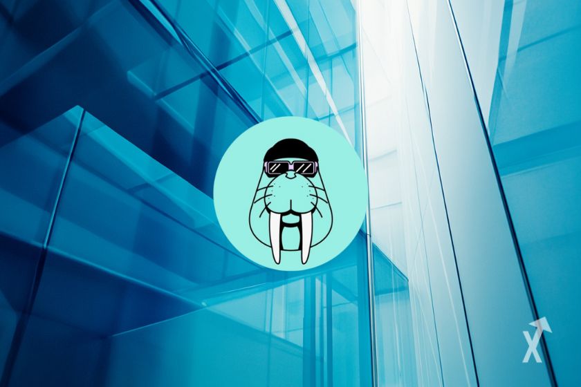 Walrus logo: sleek, minimalist design.
