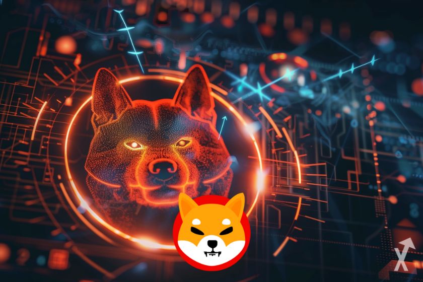 Shiba Inu price information.