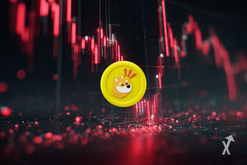 BONK token - digital currency concept