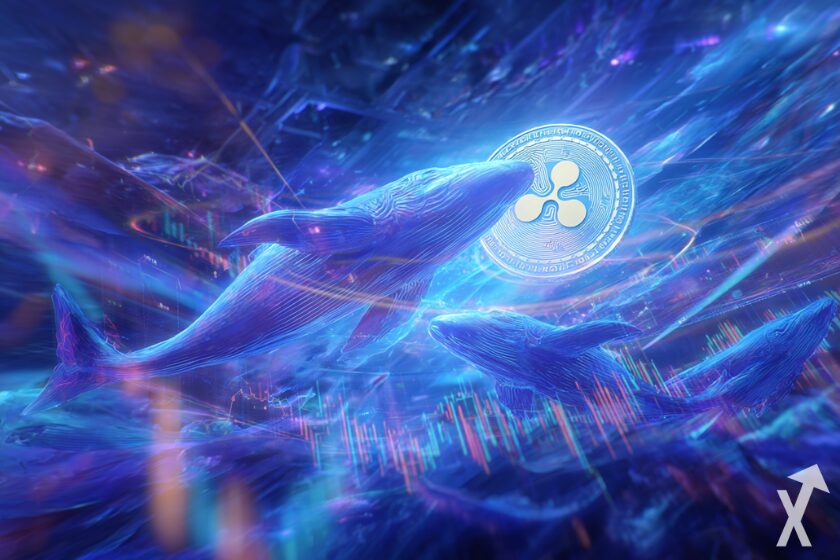 Large holders of XRP cryptocurrency tokens.