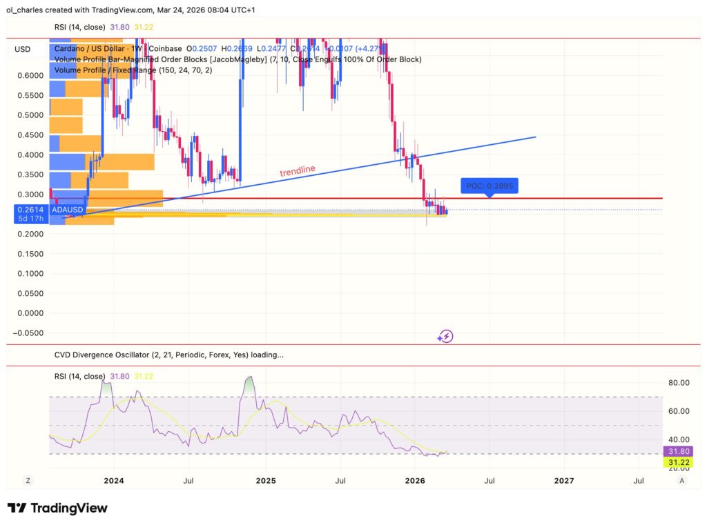 ADA Cardano price chart over 1 week with VPFR, order block, and RSI