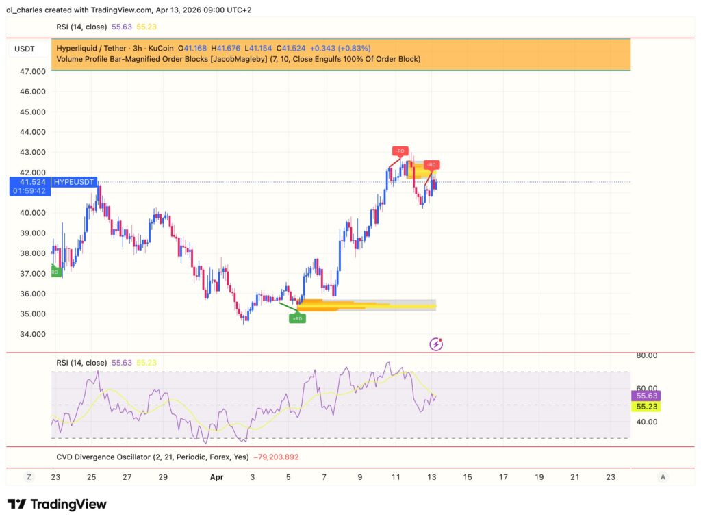 Hyperliquid HYPE price chart in 3 hours with RSI and order blocks